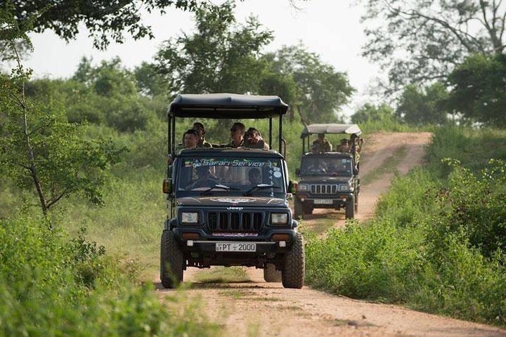 Udawalawa National Park Safari from Colombo (Budget Car with A/C) - Image 1