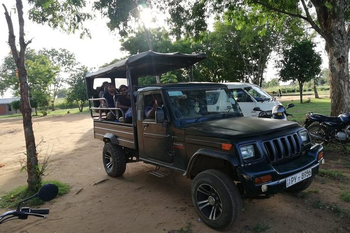 Udawalawa Safari tour - All inclusive day tour (Group) - Image 3