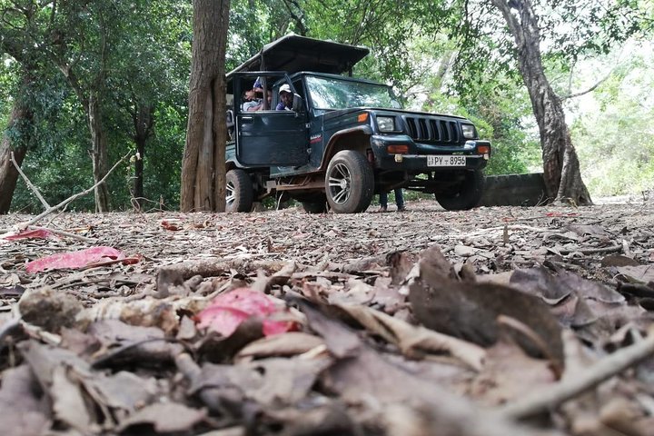 Udawalawa Safari tour - All inclusive day tour (Group) - Image 4