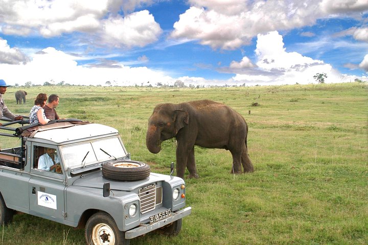 Udawalawe National Park Adventure - Image 1