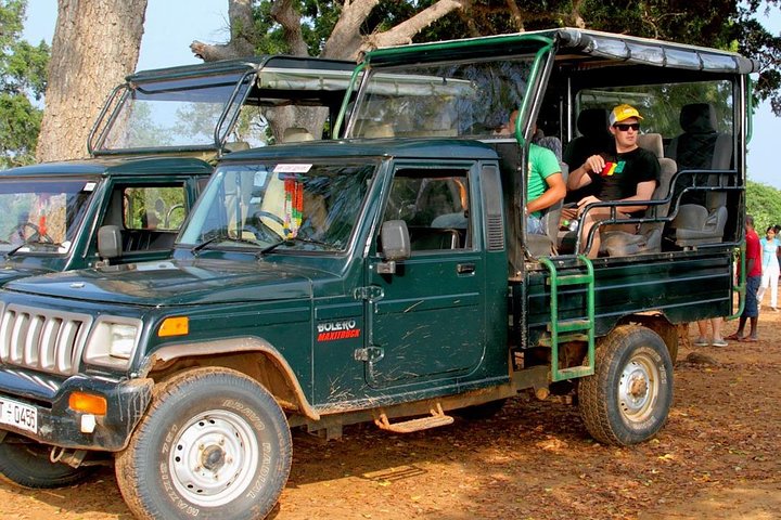 Udawalawe National Park Safari with Naturalist - Image 4