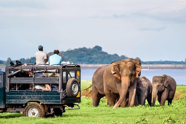 Udawalawe National Park Safari with Naturalist - Image 1