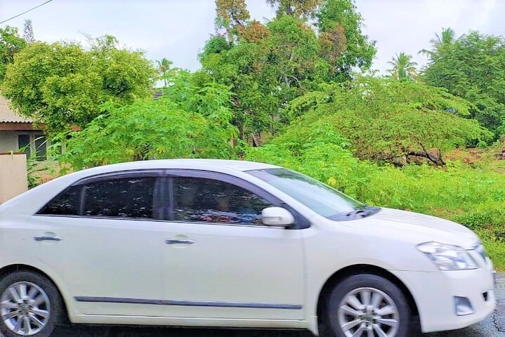 Vehicle with Driver Guide to go around the Country - Sri Lanka  - Image 2