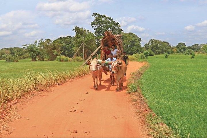 Village Trekking Tour Sigiriya - Image 2