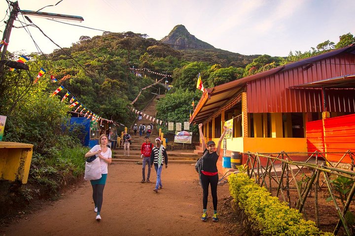 Visit Adam's Peak from Colombo - Image 5