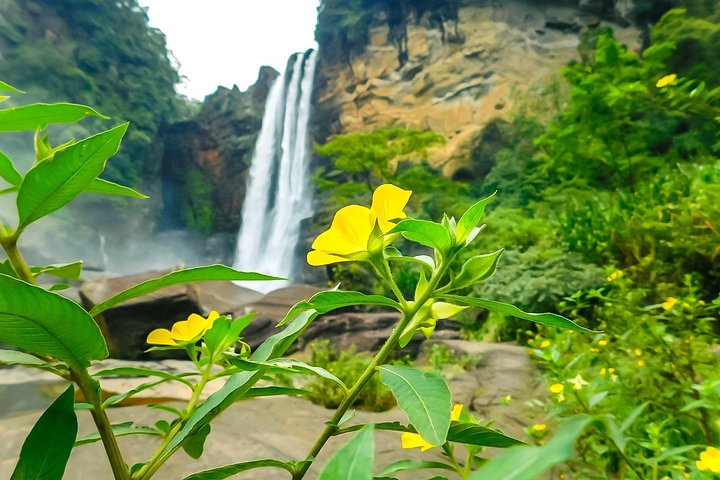 Visit beautiful Laxapana Falls & White Water Rafting Day Tour - Image 5