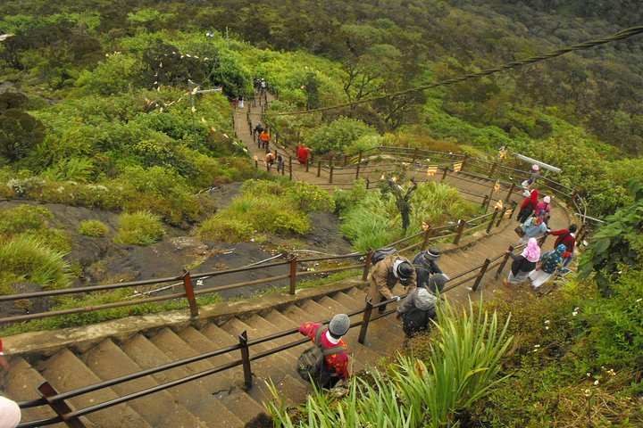 Vist To Adam's peak From Colombo - Image 5