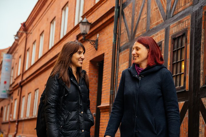 City Explorer: Malmo Private Day Trip - Image 3