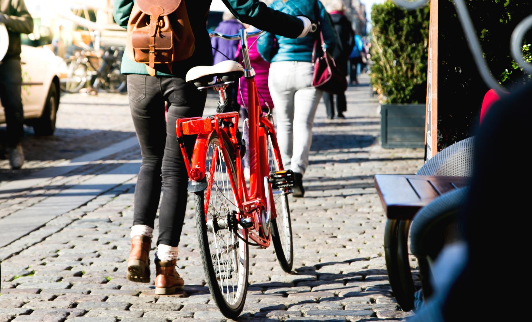 Comprehensive Copenhagen by Bike - Image 1