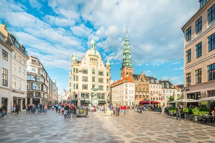 Private Shore Excursion: Copenhagen Panoramic Tour - Image 5