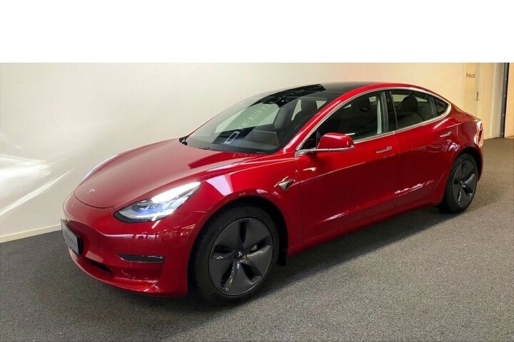 The Forgotten Giants Private Tour BY TESLA - Image 3
