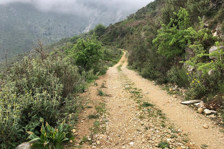 Corfu 4x4 Full-Day Safari Adventure by experiences Net - Image 4