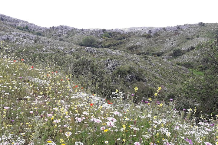 Corfu from Above: Hiking at the Highest Peak of Corfu - Image 2