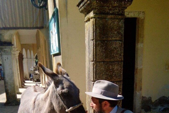 Durrells story half day - Image 4
