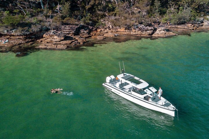 Full Day Private Cruise on Speed Boat in Corfu island - Image 1
