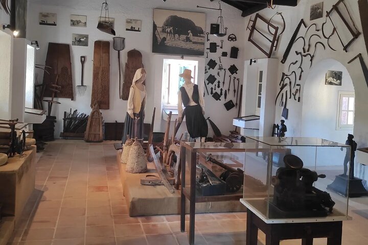 Half Day Private Durrels Tour in Corfu - Image 4