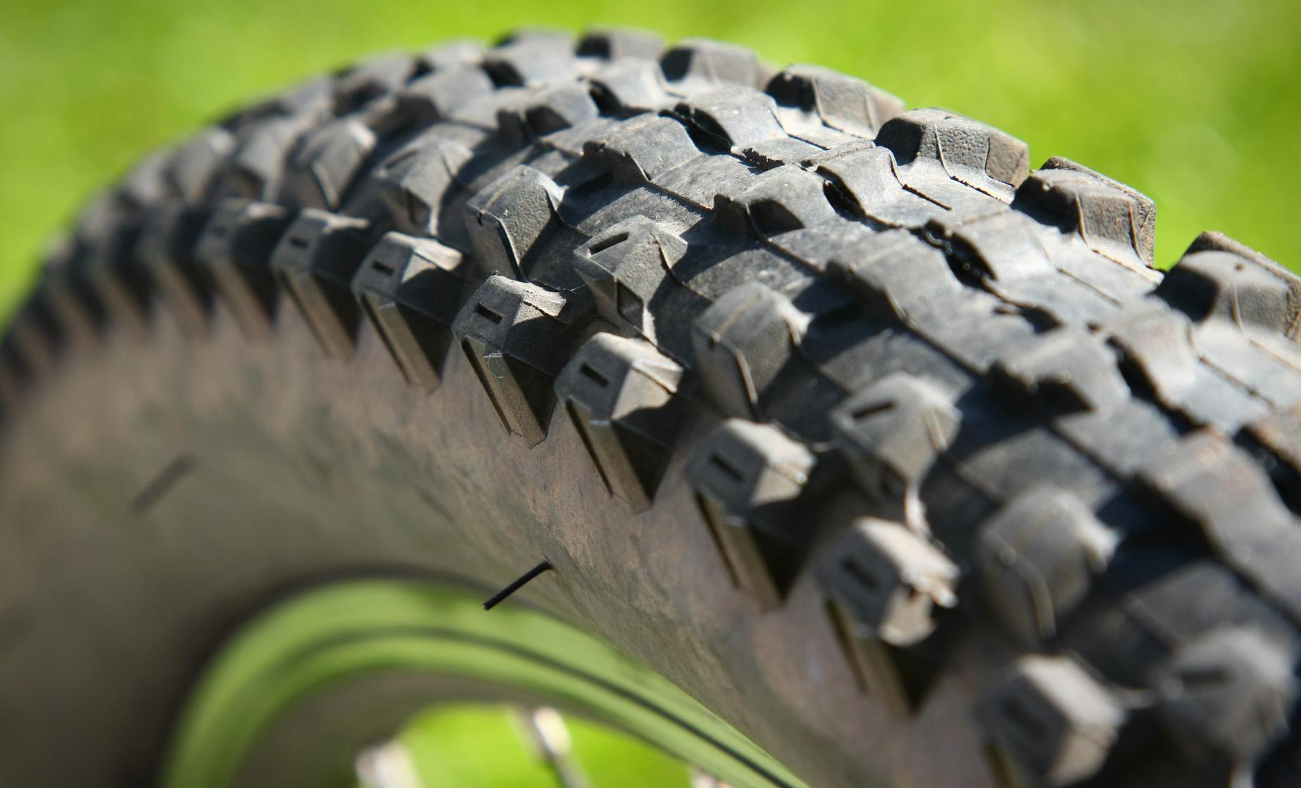 Private Group Exploration By Bike - Image 1