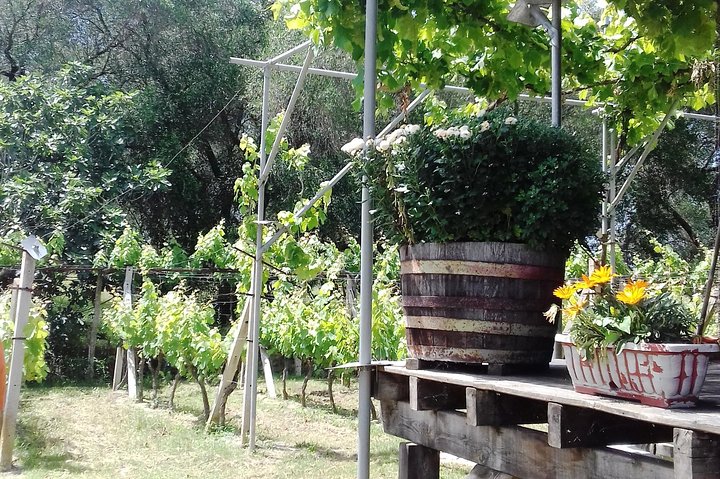 Private Tasting Tour in Corfu - Image 2