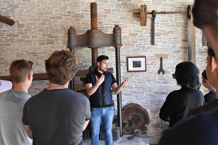 The Governor Olive Mill Tour with Olive Oil Tasting - Image 2