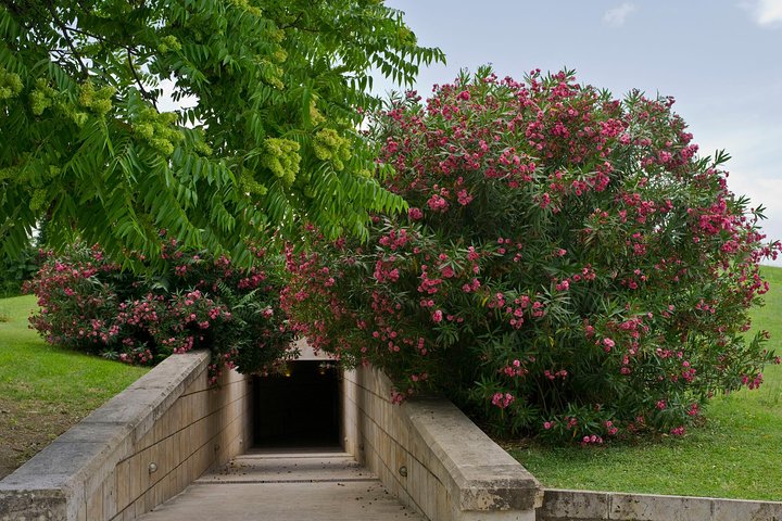 Vergina Private Tour from Corfu - Image 3