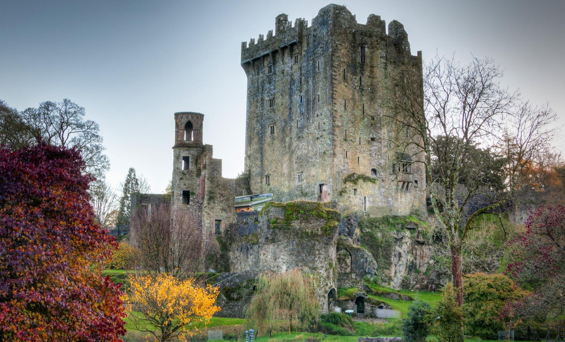 Cork City and Blarney Castle with Private Transportation - Image 1