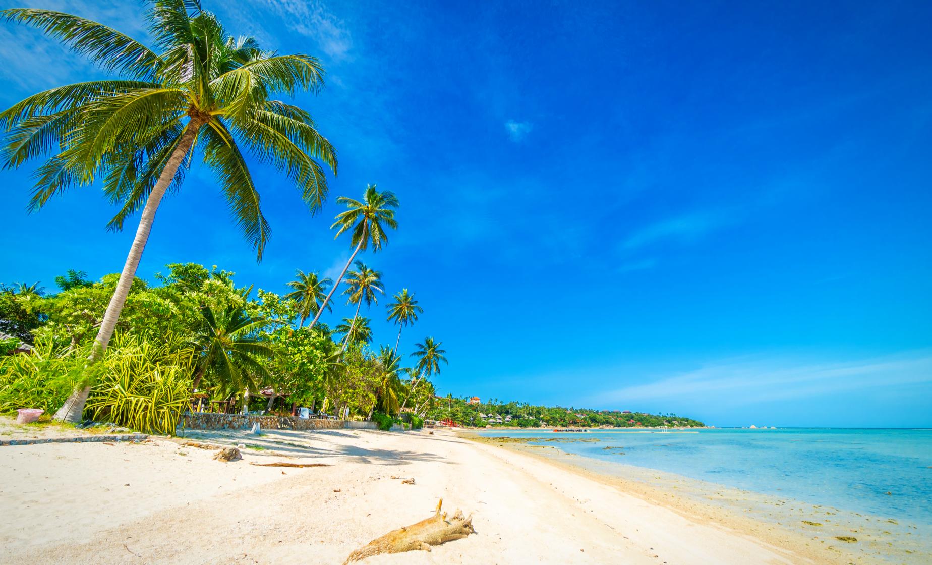 Costa Maya Beach Break (Beverages Only) - Image 1