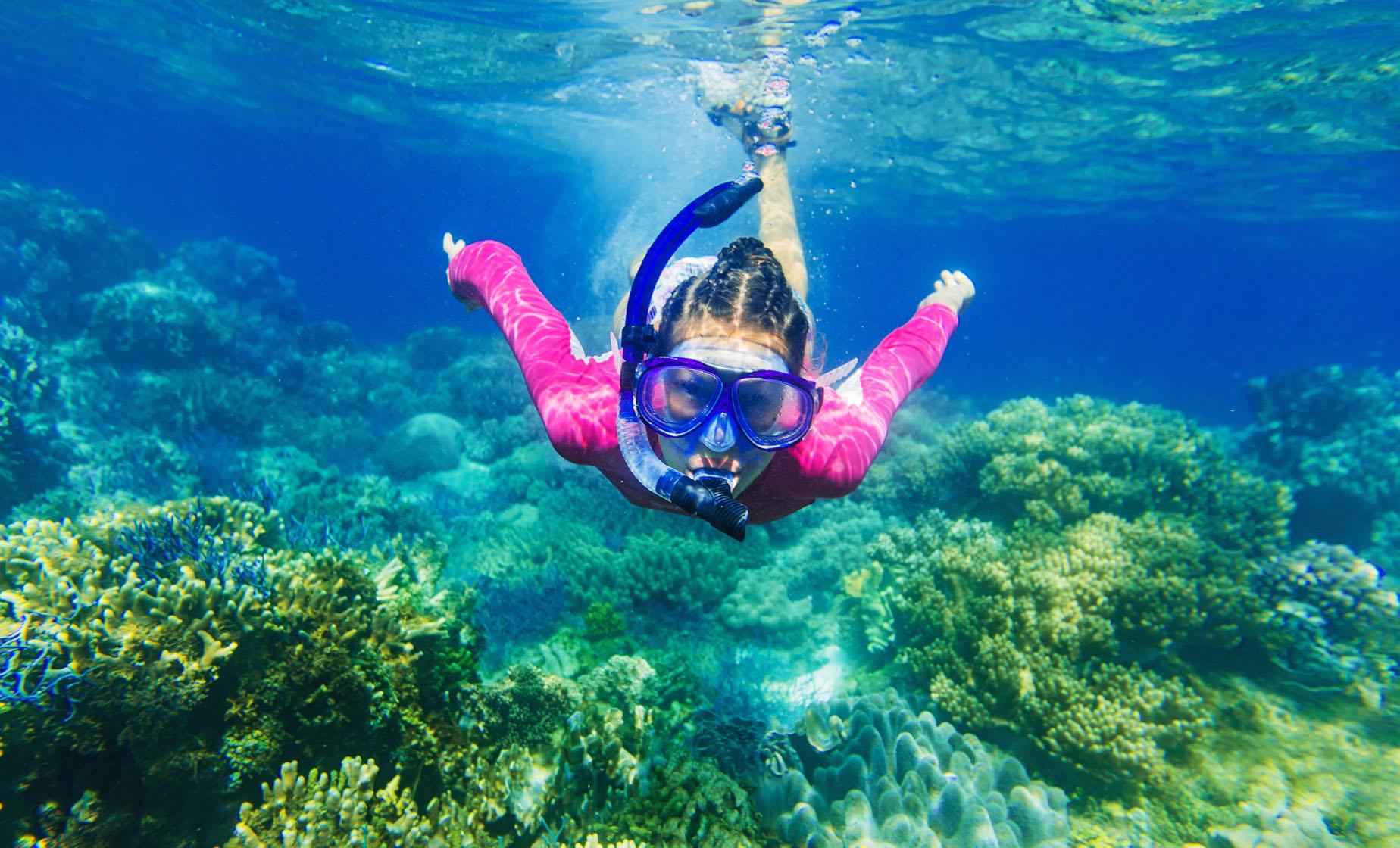 Snorkel and Boat Tour - Image 1