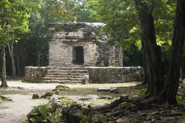 Amazing Jeep Tour Visit Punta Sur Park and San Gervasio Ruins - Image 3