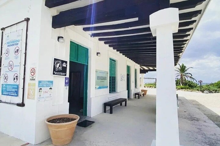 Amazing Jeep Tour Visit Punta Sur Park and San Gervasio Ruins - Image 5