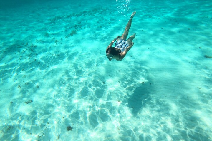Bavarian Fiesta Snorkel Activity in Glass Bottom Boat at San Miguel de Cozumel - Image 3