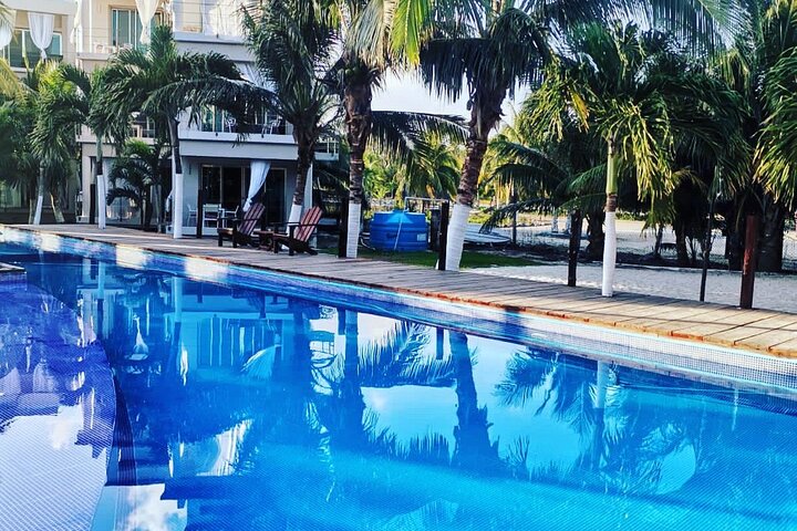 Beach day with food and drinks; and easy transportation in Cozumel - Image 2