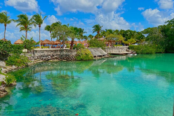 Chankanaab Park Cozumel Day Pass with Lunch and Open Bar - Image 4