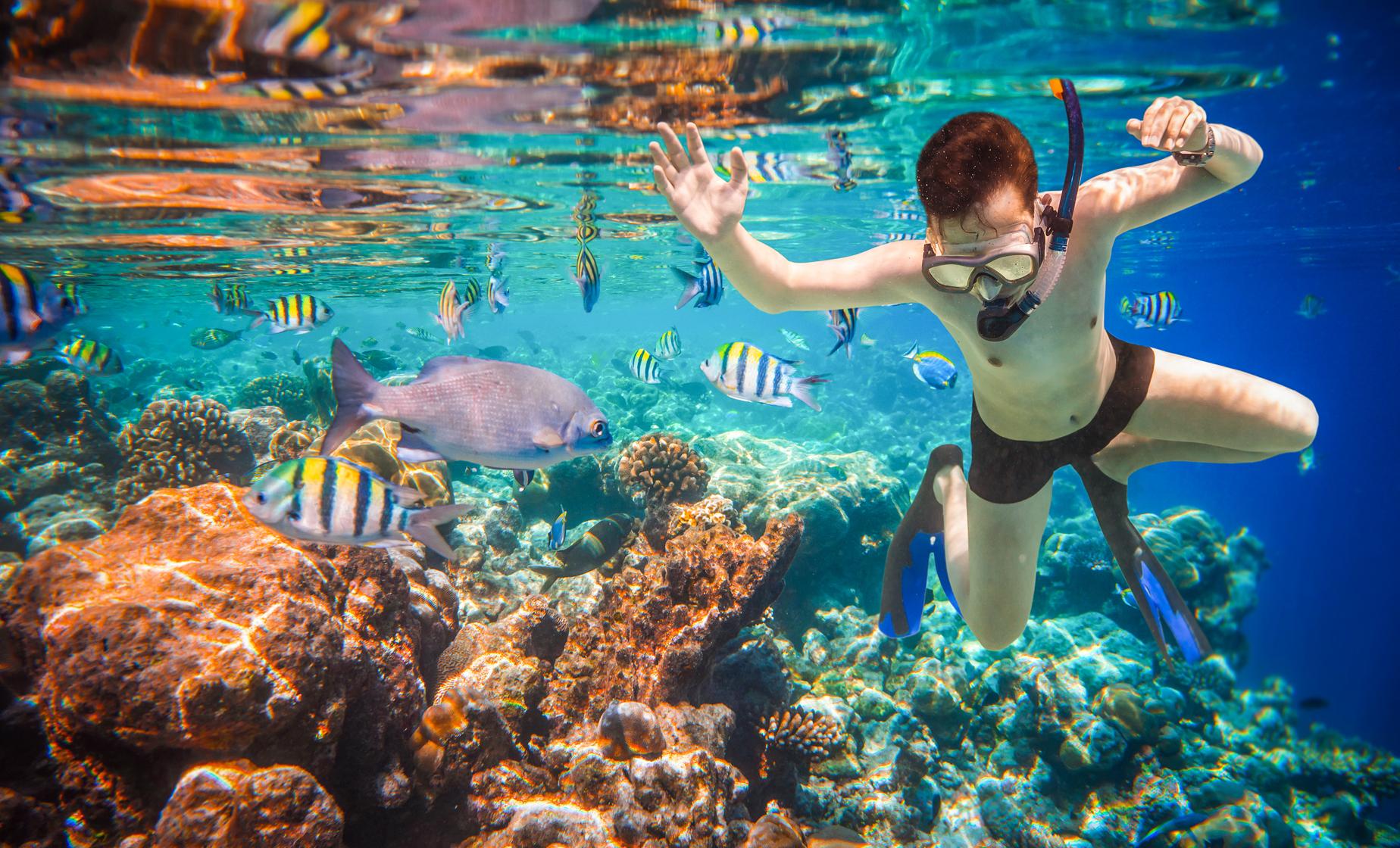 Chankanaab Snorkel with Lunch - Image 1