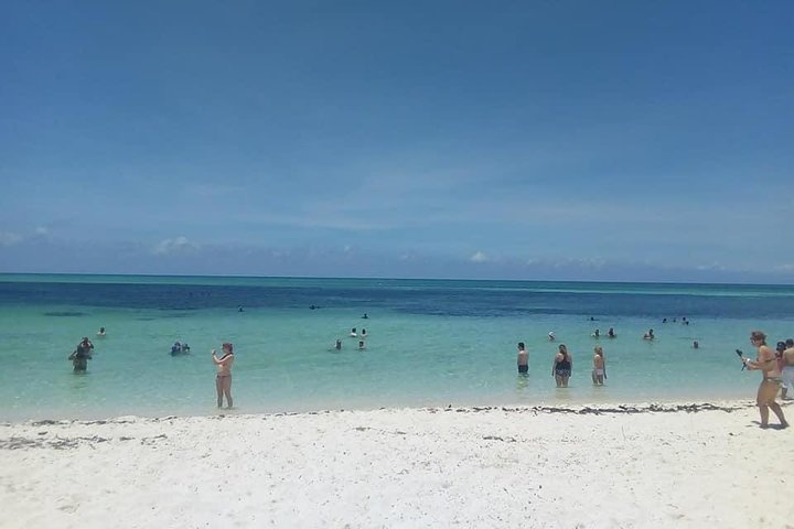 Cozumel- 90 Minute City Tour - Image 2