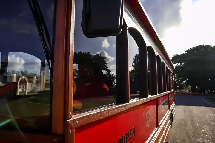 Cozumel City Tour By Trolley - Image 3