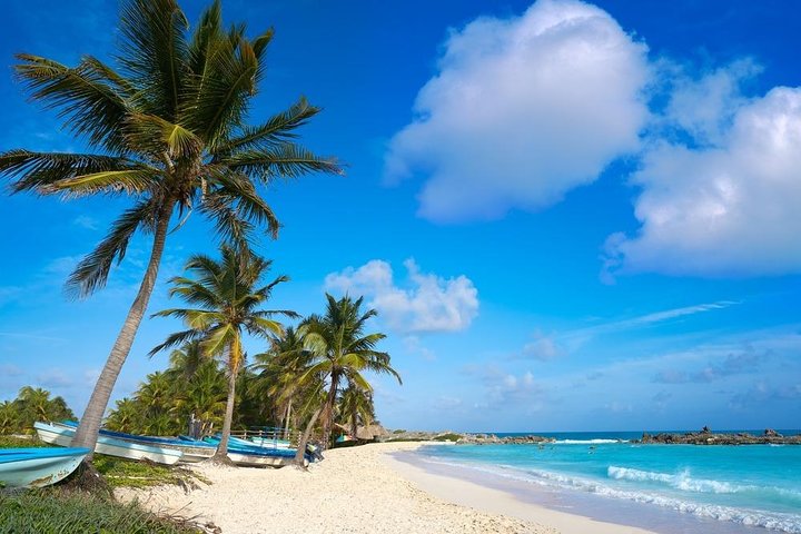 Cozumel Island Private Excursion by Van - Image 1
