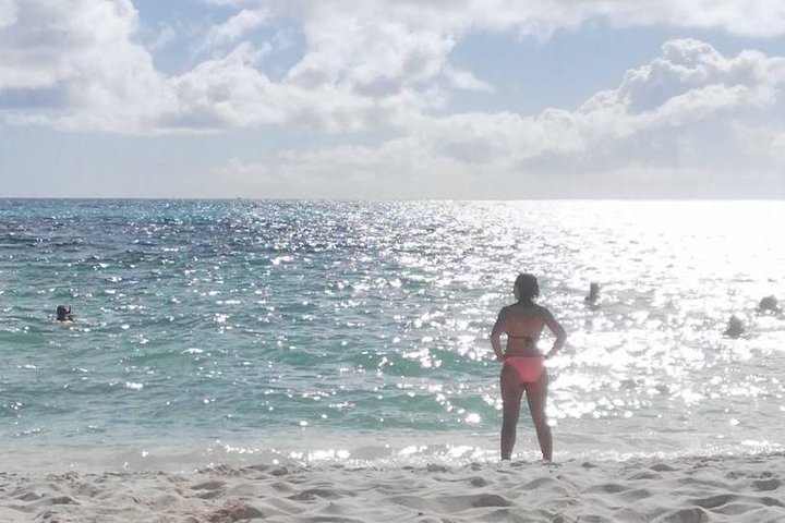 Cozumel Island Tours - Image 1