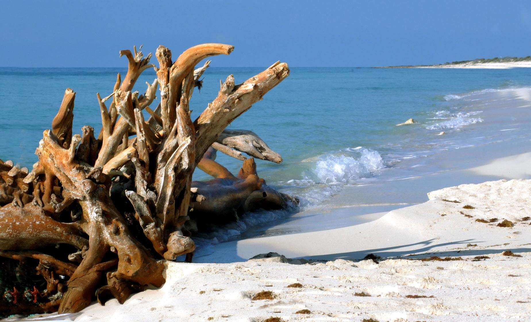 Cozumel Jeep and Beach Adventure - Image 1