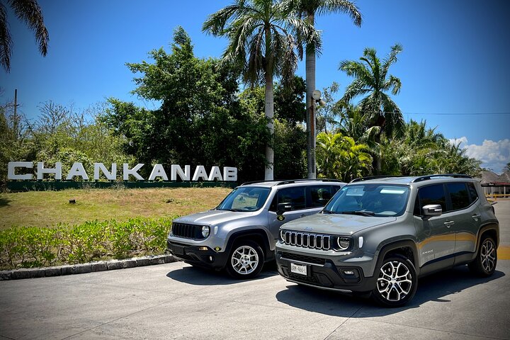 Cozumel: Jeep & XRAIL Adventure Excursion - Image 3