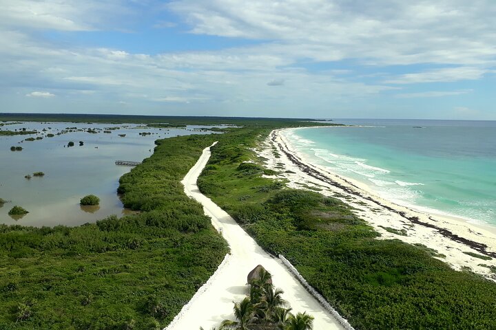 Cozumel National Park and Beach Break: Private Tour - Image 3