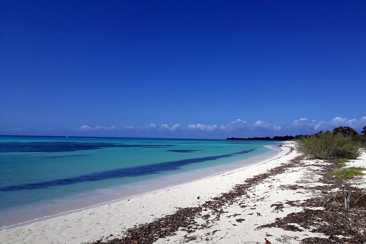 Cozumel National Park and Beach Break: Private Tour - Image 4