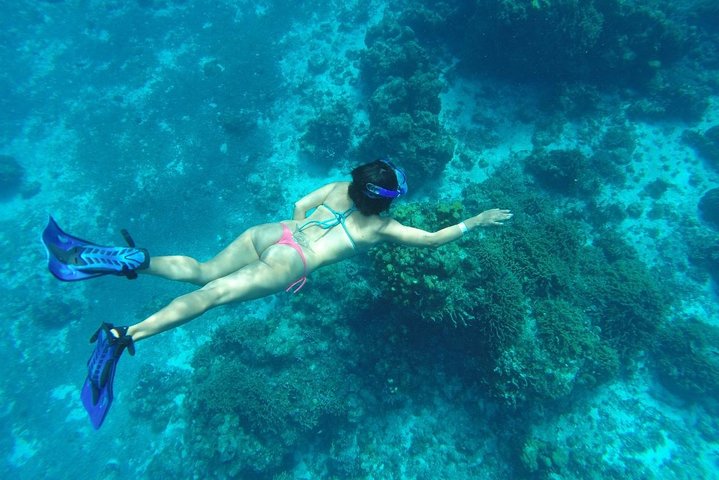  Cozumel Shore Excursion: 3 Reefs Snorkel & El Cielo Experience - Image 2