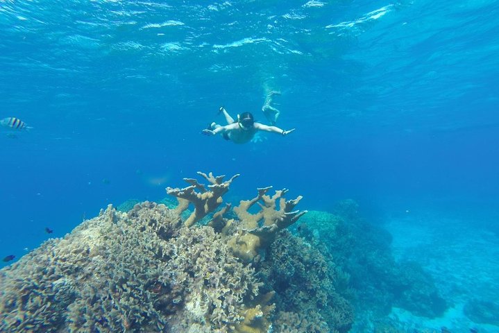  Cozumel Shore Excursion: 3 Reefs Snorkel & El Cielo Experience - Image 3