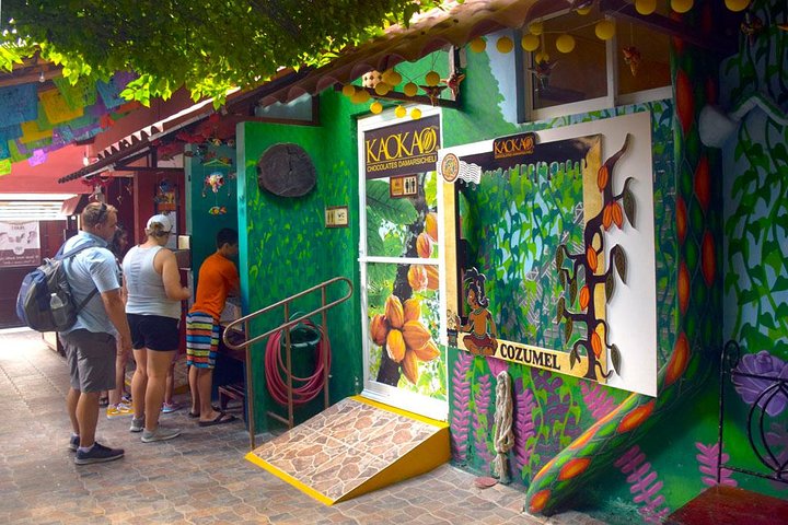 Cozumel Shore Excursion: 5-Hour Sightseeing Tour with Private Driver - Image 4
