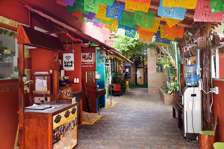 Cozumel Shore Excursion: 5-Hour Sightseeing Tour with Private Driver - Image 3
