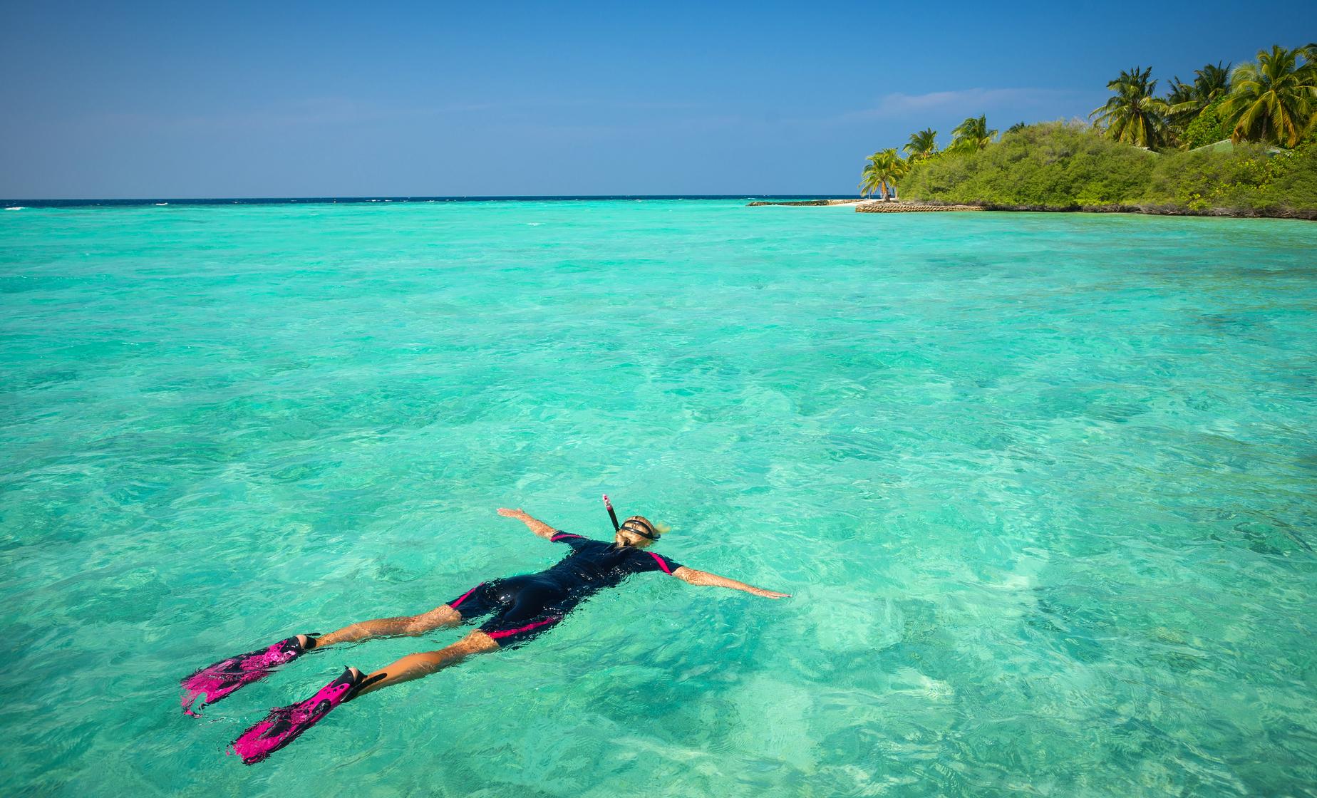 Cozumel Shore Snorkel - Image 1