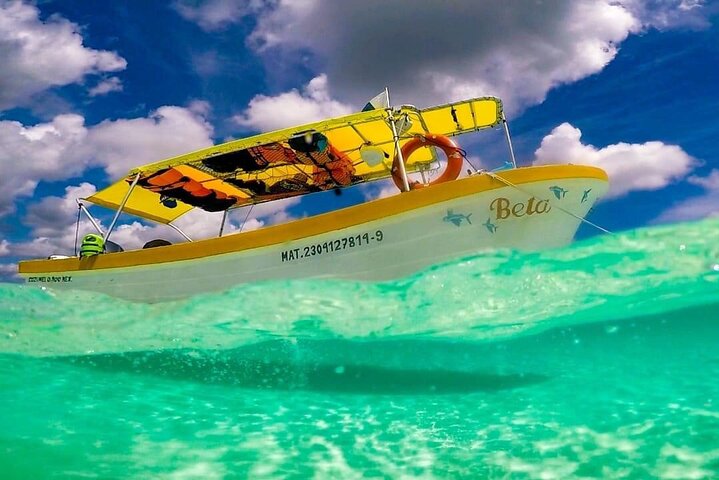 Cozumel Snorkeling Tour: Palancar, Columbia and El Cielo Reefs - Image 5