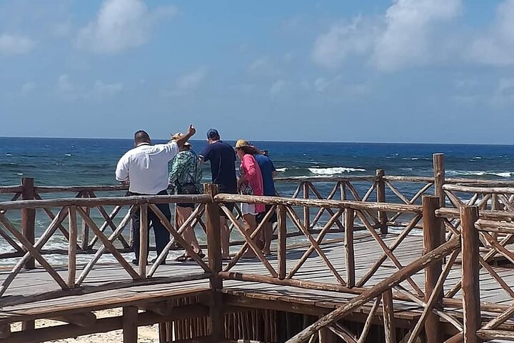 Cozumel Your Way - Image 3