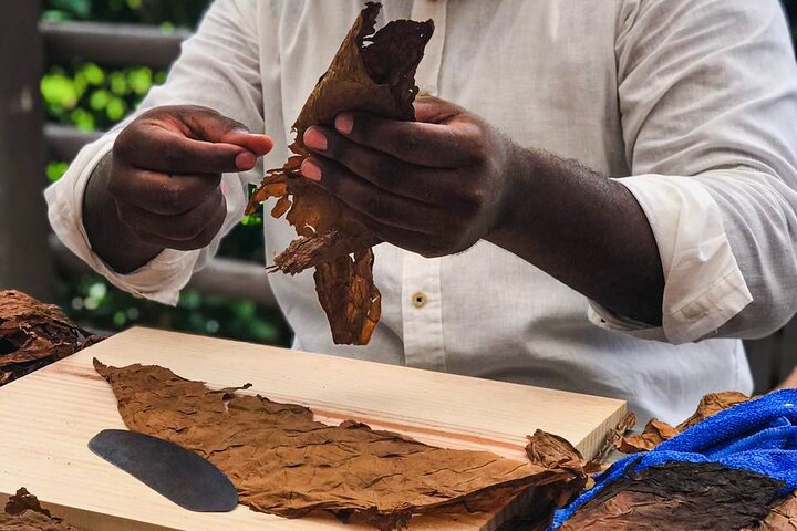 Cuban Cigar Master Class & Beach Break® with transfer - Image 4