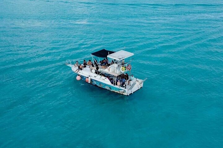 Discover Cozumel's Reef: Glass-bottom Boat Snorkeling Adventure - Image 4